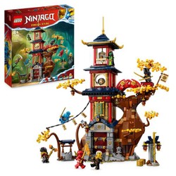 71795 - LEGO® NINJAGO - Les Noyaux d’Énergie du Temple du Dragon